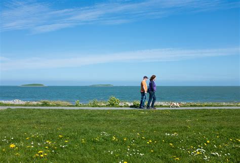 The Best Walks In Dublin - Mountains, Cliffs Forest Walks - Mako56