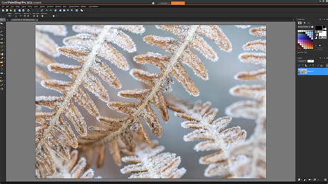 Corel PaintShop Tutorial 的图像结果