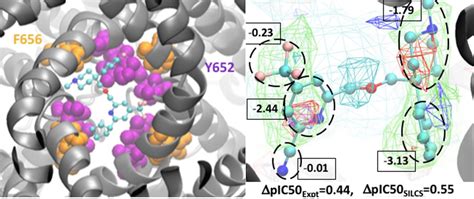 hERG Blockade Prediction by Combining Site Identification by Ligand ...