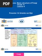 Image result for Number Patterns Grade 11 Notes.pdf