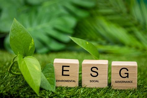 What is ESG and Why Is It Important For Your Business? - Therma