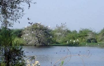 Heart-warming 3 Days 2 Nights dasada Tour Package | dasada Trip Package ...