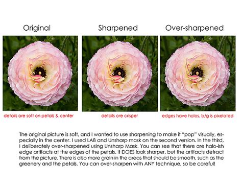 What Is Image Sharpening? | Envato Tuts+