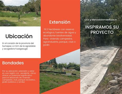 Inversionistas: proyecto vivienda campestre o recreativo en Fusagasugá ...