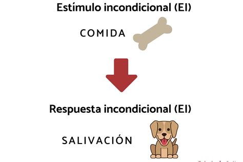 Ejemplos Prácticos de Rúbrica Analítica para Evaluación Efectiva