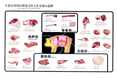 养猪新闻图库——中国养猪网 - 中国养猪网-中国养猪行业门户网站