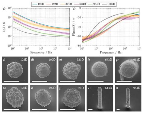 Inkjet-Printed and Electroplated 3D Electrodes for Recording ...