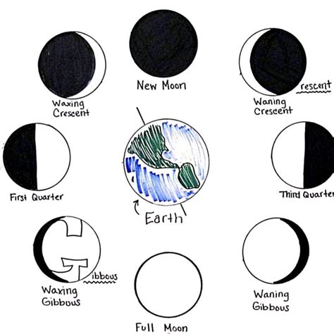 drawing of faces of moon on black chart paper with accra lic colour - Brainly.in