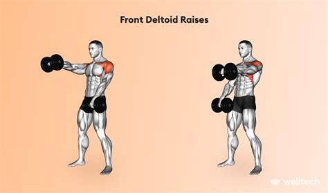 Chest and Shoulder Workout for Muscle Growth [Dumbbells Only] - Welltech