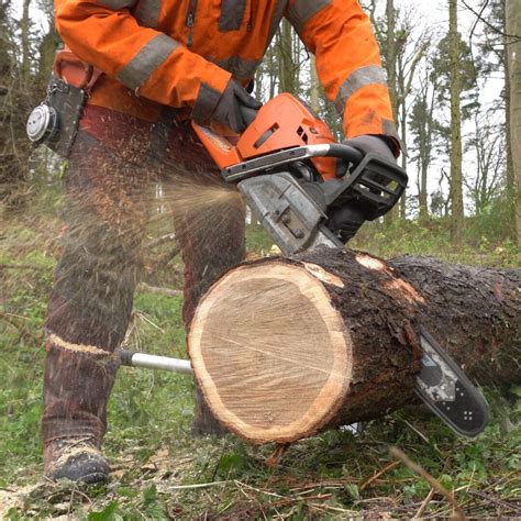 Image result for Using a Log Jack