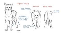 Image result for Programming JavaScript Meme