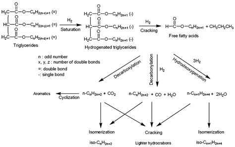 Catalytic Applications in the Production of Hydrotreated Vegetable Oil ...