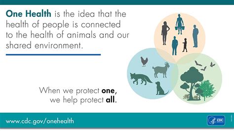 Basic Knowledge of Food Production 的图像结果