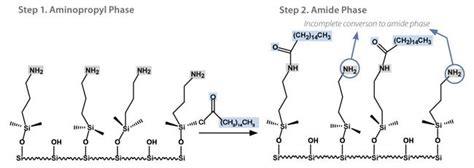 Ascentis® Express RP-Amide HPLC Columns