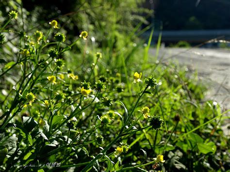 Image result for Test Spring Squareness