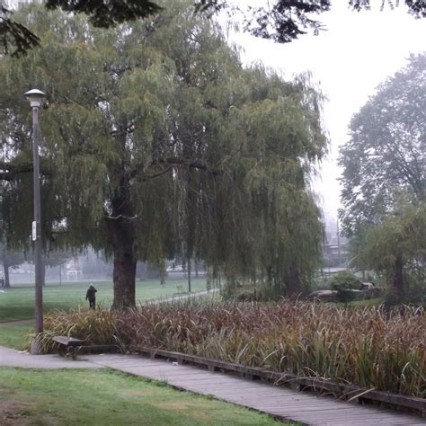 MEMORIAL SOUTH PARK (2025) All You Need to Know BEFORE You Go (with ...