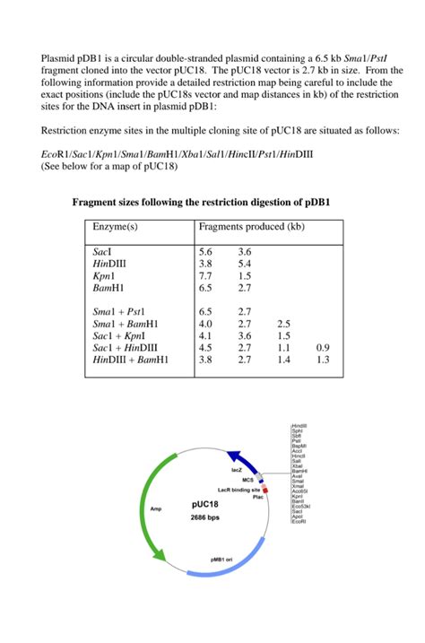 Image result for Restriction Enzyme Map