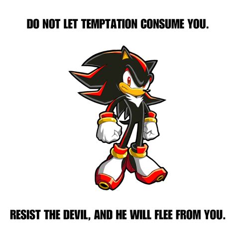 52 Christian Shadow the Hedgehog ideas in 2025 | christian quotes god ...