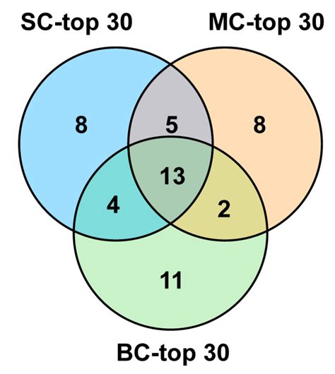 Diversity of Conopeptides and Their Precursor Genes of Conus Litteratus