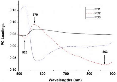 Application of Hyperspectral Imaging and Chemometric Calibrations for ...