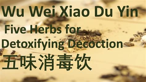 29 Chinese Herbal Medicine/Formula - Wu Wei Xiao Du Yin (Five Herbs for ...