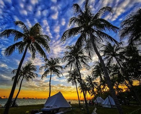 GO GLAMPING-LUXURY BELL TENT (Singapore) - Campground Reviews & Photos ...