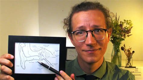 Image result for ASMR Testing