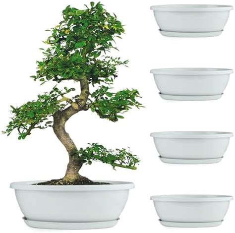 Livzing 15inch Pack of 5 Bonsai Plant Pot with Tray - Flower Pots with ...