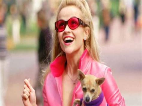 Legally Blonde | World News, Latest and Breaking News, Top ...