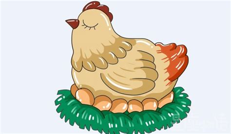 小鸡怎么养吃什么 小鸡的喂养与饮食-四得网