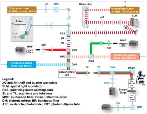 Photonics | Special Issue : Advanced Optical Microscopy and Imaging ...