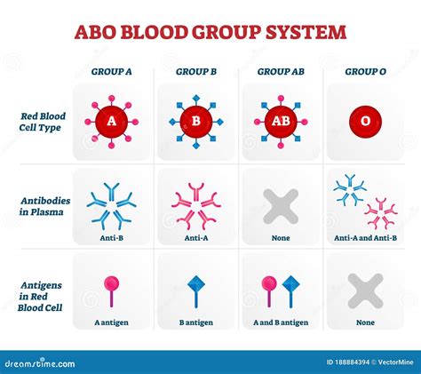 輸血ではO型が不利!?ABO式血液型を徹底解説 | Ken