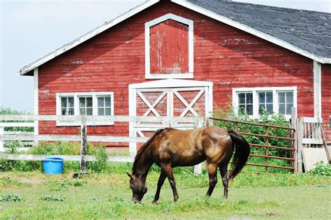 Why Are Farm Barns Painted Red at Lori Allan blog
