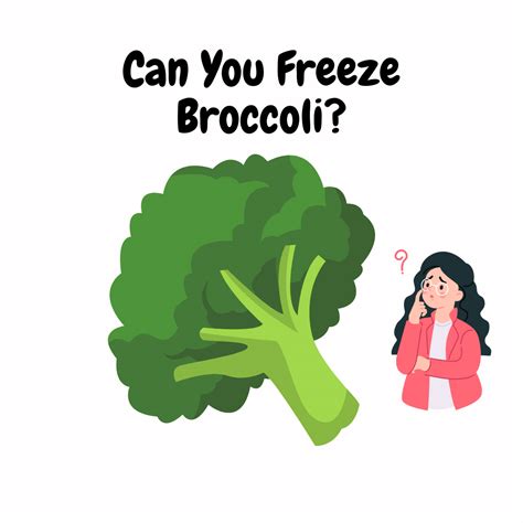Can You Freeze Broccoli? Easy How-To Guide