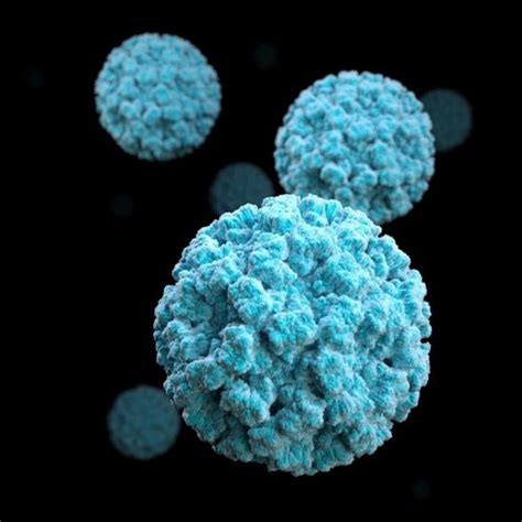 About Norovirus | UPSC Current Affairs | IAS GYAN