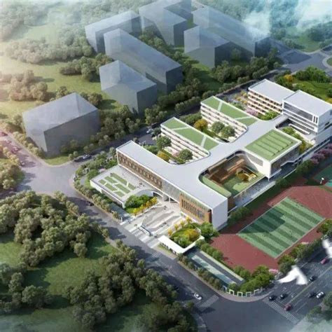 义乌：城市更新提速 教育配套跟进-义乌,实验学校-义乌新闻