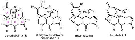 Structural Insights into the Marine Alkaloid Discorhabdin G as a ...