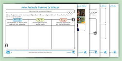 How Animals Survive in Winter Differentiated Worksheets