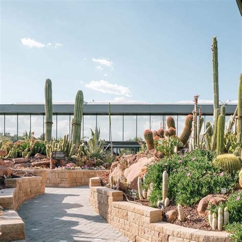 How an award-winning photographer immortalized a defunct factory in ...