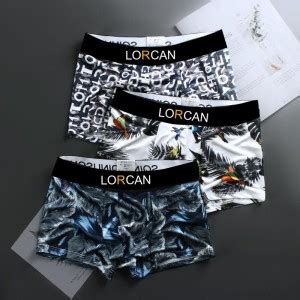 Lorcan Men Brief - Buy Lorcan Men Brief Online at Best Prices in India ...