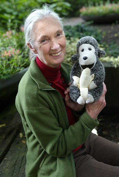 Jane Goodall Net Worth - Wiki, Age, Weight and Height, Relationships ...