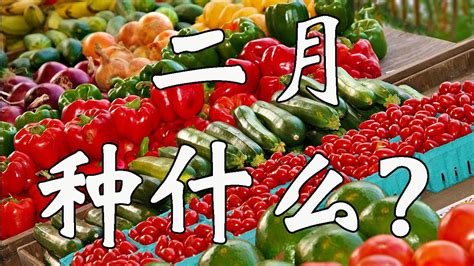 应季水果蔬菜时间表