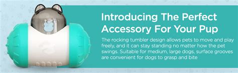 Buy PetVogue (Newly Launched) Swing Dog Treat Balls Interactive ...