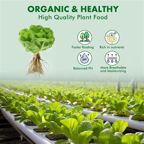 800ML Hydroponic Nutrients Review - Hydroponic Gardening