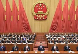 Image result for chinese government