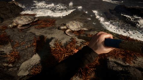 AMBIL SEKARANG