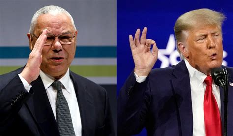 Trump calls Colin Powell 'classic RINO'. Meaning, history of acronym ...