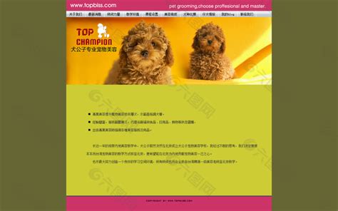 犬类宠物店网站网页网页UI素材免费下载(图片编号:1094348)-六图网
