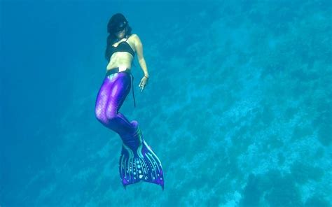 BOHOL MERMAID (2026) All You Need to Know BEFORE You Go (with Photos ...