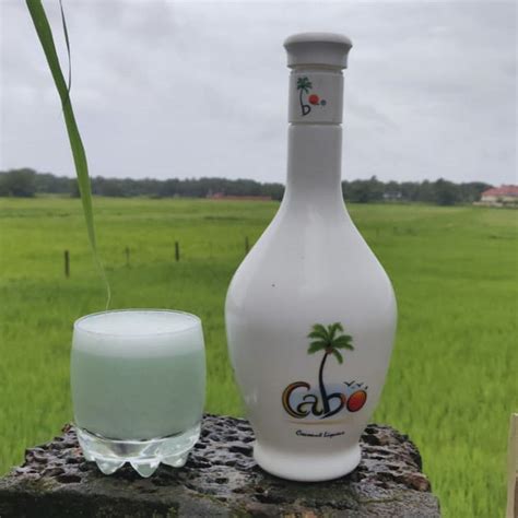 Cabo White Rum: A Goan Souvenir To Bring Home | LBB